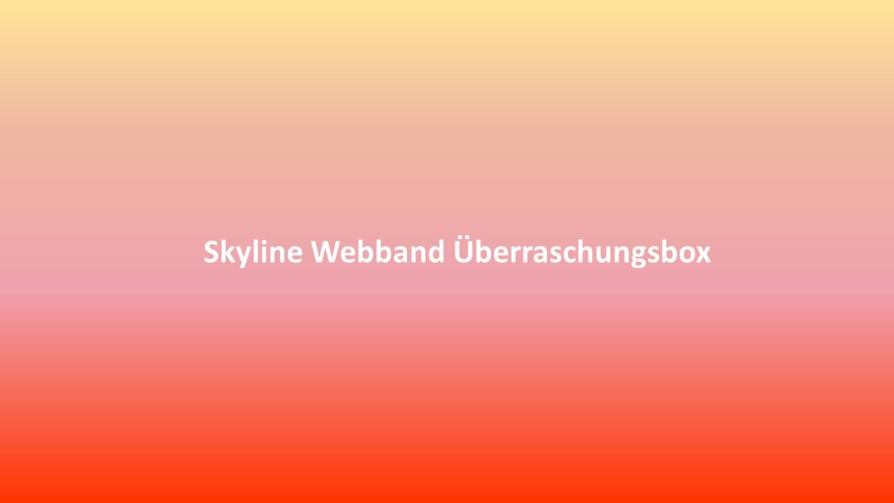 Picture of Skyline Webband Überraschungsbox ca. 16mm breit - 12 verschiedene Muster - Gesamtlänge 4,60m